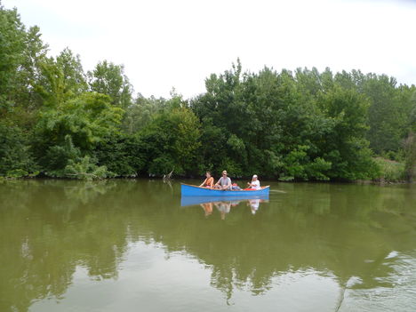 Nyárasi-Duna, Hullámtéri vízpótlórendszer, Kisbodak, 2011. július 15.-én