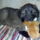 Kedvenc_jatekom_1251262_5393_t