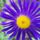 Kiskertembol_1252112_6303_t