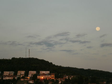P9130936