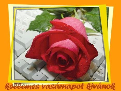 ,,Hallgasson meg téged az Úr ,a  szükség idején."Zsolt.20:2