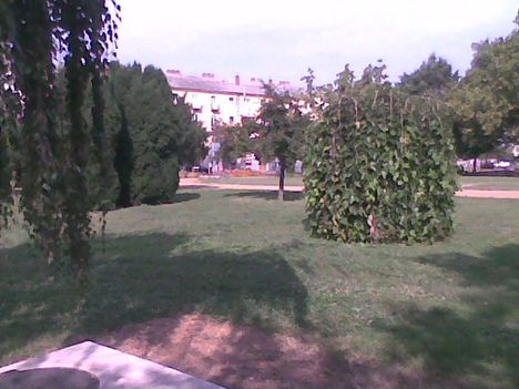 Kép008jpg Debreceni parkrészlet