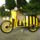 Schwalbe_003_1255631_1388_t
