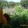 Viragok-013_1255010_7201_t
