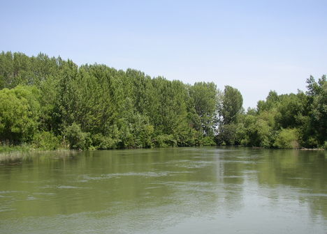 Kimle, Mosoni-Duna, Cvika szigetek felletti szakasz, 2003. június 23.-án