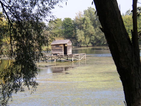 Rajka, a Tározótér, belső tó, 2007. október 04.-én