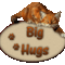 Cica BIG HUGS pillogo