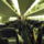 A_gepem_belulrol_1261373_3464_t