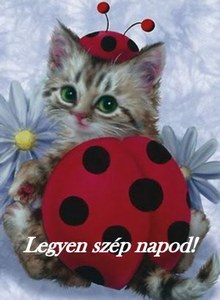 Hugikámnak