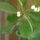 20110926038_masolata_1262801_3510_t