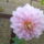 20110926046_masolata_1262798_4623_t
