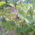 20110926061_1262835_1802_t