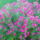 20110926063_1262828_1150_t