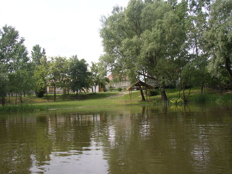 Mosoni-Duna, Mecsér belterülete, 2004. június 02.-án