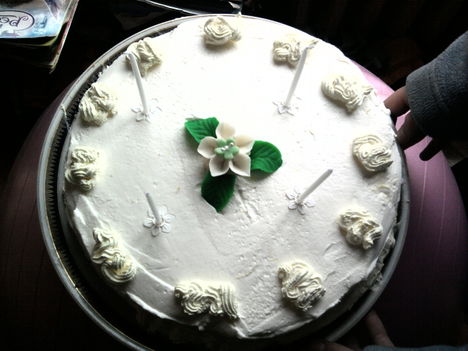 Torta 2