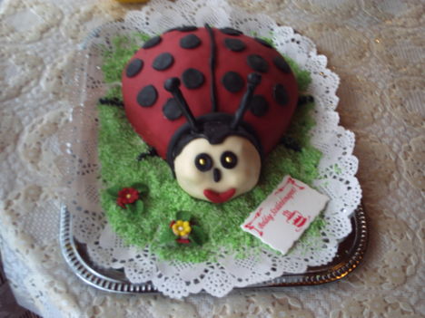 Torta 4