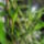 Talan_igy_konyebb_felismerni_1_1265909_3136_t