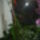 Talan_igy_konyebb_felismerni_2_1265910_1934_t