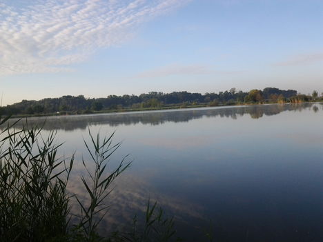 2011-08-13 06.51