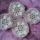 4_dbos_terito_1266320_1097_t