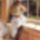 Almatademasunshine_1266770_7455_t