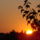 Naplemente_2011_oktober__3an____3_1266644_9261_t