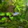 Pa020036_1266001_3313_t
