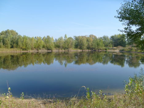 Ásványráró, Bárdunai-tó, 2011. október 04.-én