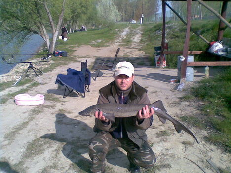 2008.ápr,Bugyi,Bázis horgásztó,4,00kg
