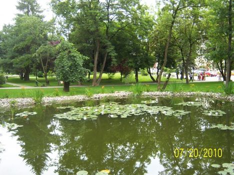 -Erzsebet-park-Sepsiszentgyorgy-1-37-640x640-0[1]