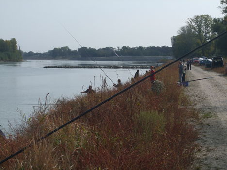 Őszi horgászversenyek 2011. 11