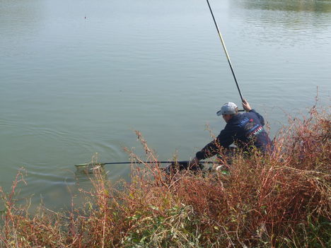 Őszi horgászversenyek 2011. 23