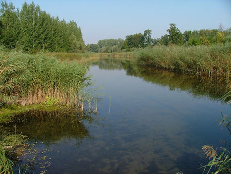 Rabi - tó