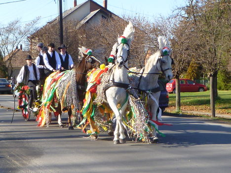 Halászi, Szent Márton napi búcsú, a "Csingis lovak felvonulása", 2010. november 14.-én (1)