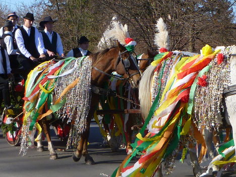 Halászi, Szent Márton napi búcsú, a "Csingis lovak felvonulása", 2010. november 14.-én (3)