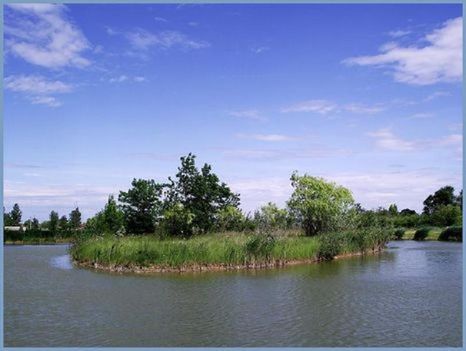 Máriapócs Szabadidő Park Horgásztó