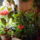 Mi_mar_bekoltoztunk-001_1271070_6301_t