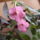 Mi_mar_bekoltoztunk-002_1271069_3581_t