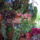 Mi_mar_bekoltoztunk-003_1271067_7235_t
