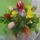 Szep_napot-014_1271654_3148_t