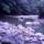 Taly_kepek_1_1271229_3806_t