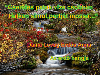 Az erdő hangja   Dáma Lovag Erdős Anna