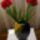 Sok_szeretettel_koszontom_a_kedves_klubtarsakat_1273150_2957_t