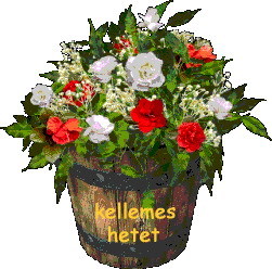 csokr rosza kihugomnak tilos elvíní 2
