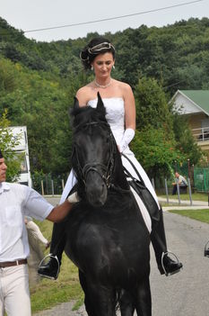 Romantikus lovasesküvő