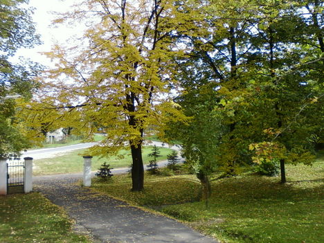 Vak Bottyán park ősszel