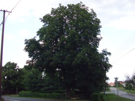 kirándulás 277