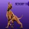 scooby_3_435952_86822_n
