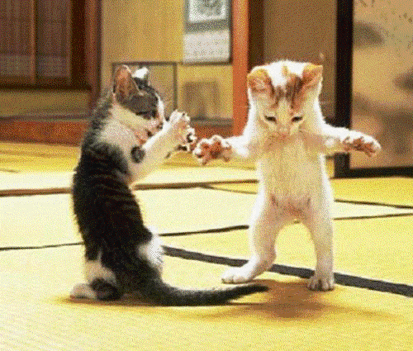 dancing_kittens