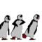 penguins_dance